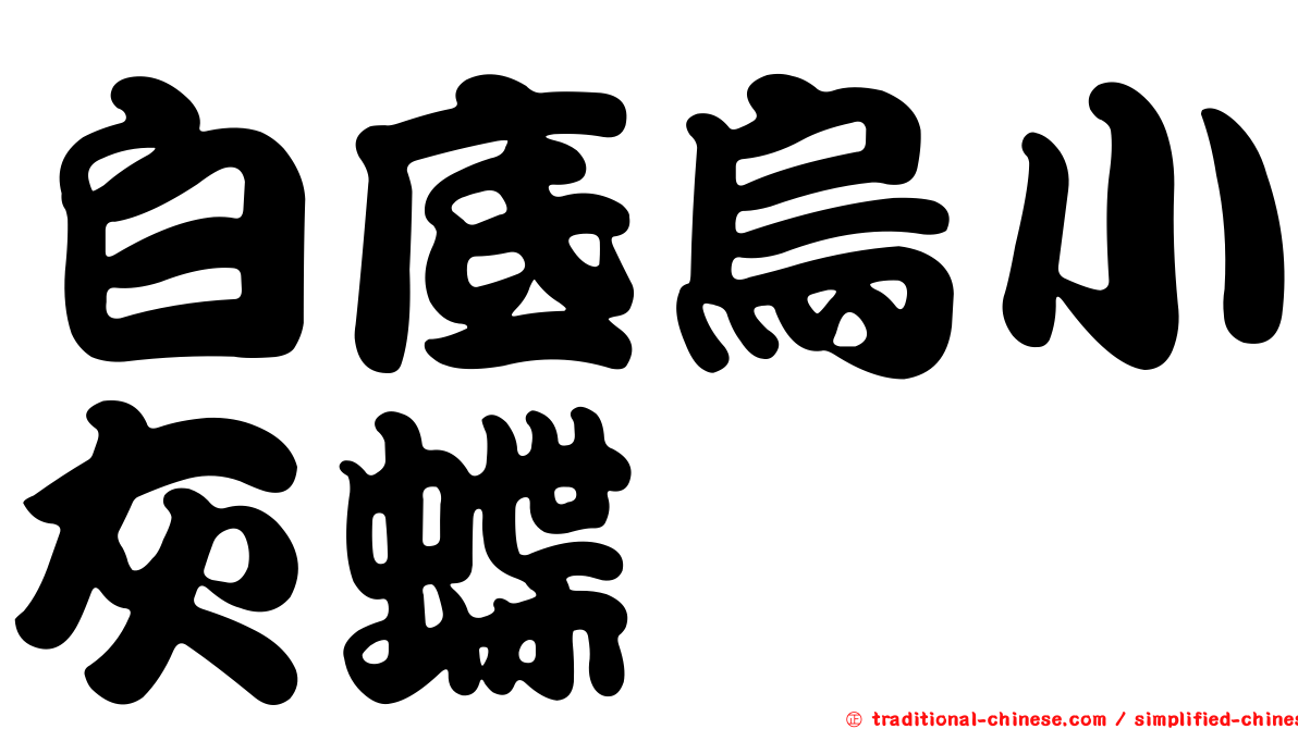 白底烏小灰蝶