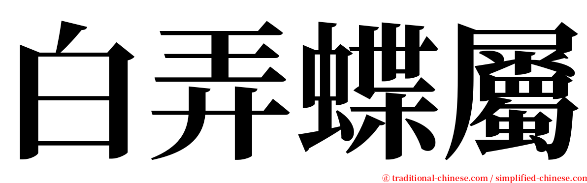 白弄蝶屬 serif font