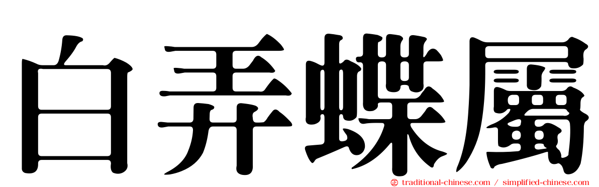 白弄蝶屬
