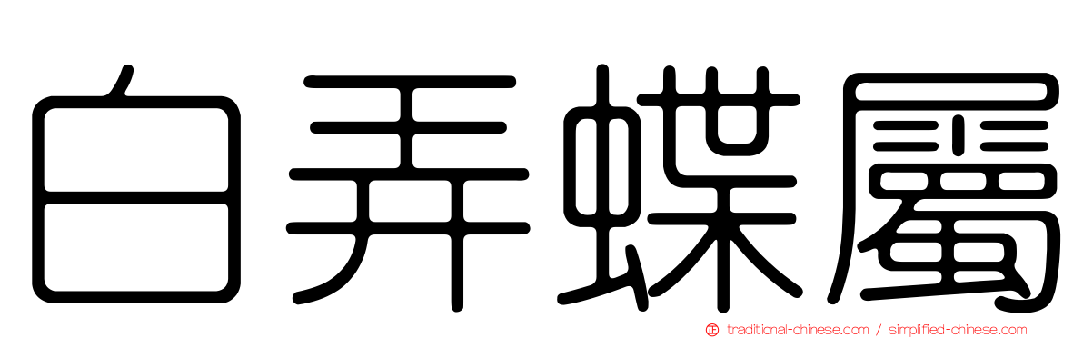白弄蝶屬
