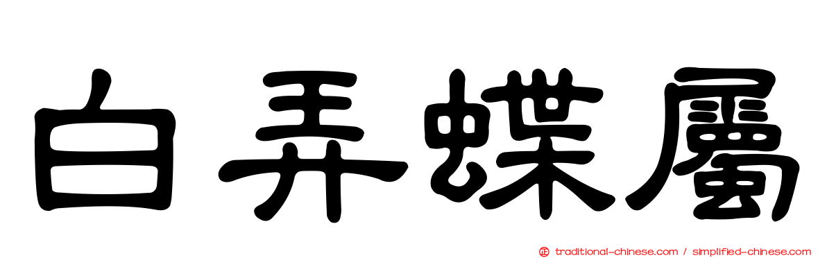 白弄蝶屬