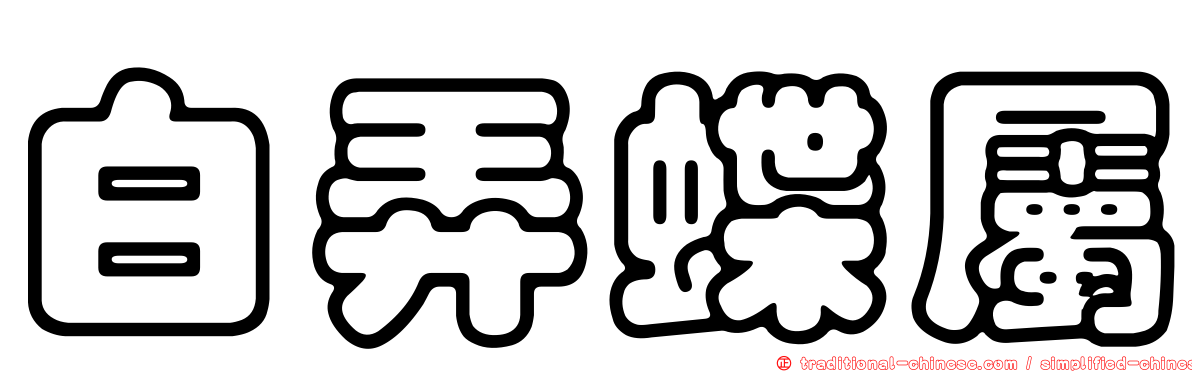 白弄蝶屬