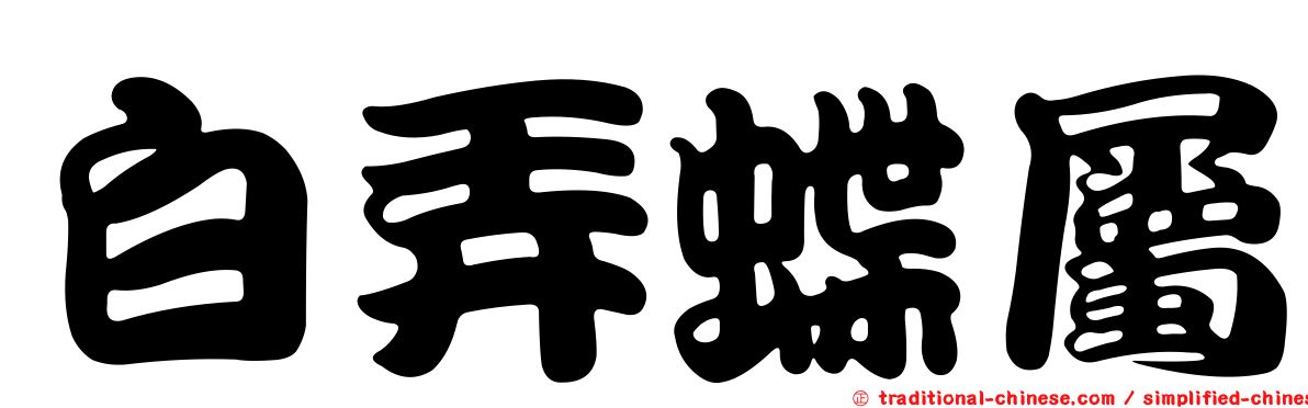 白弄蝶屬