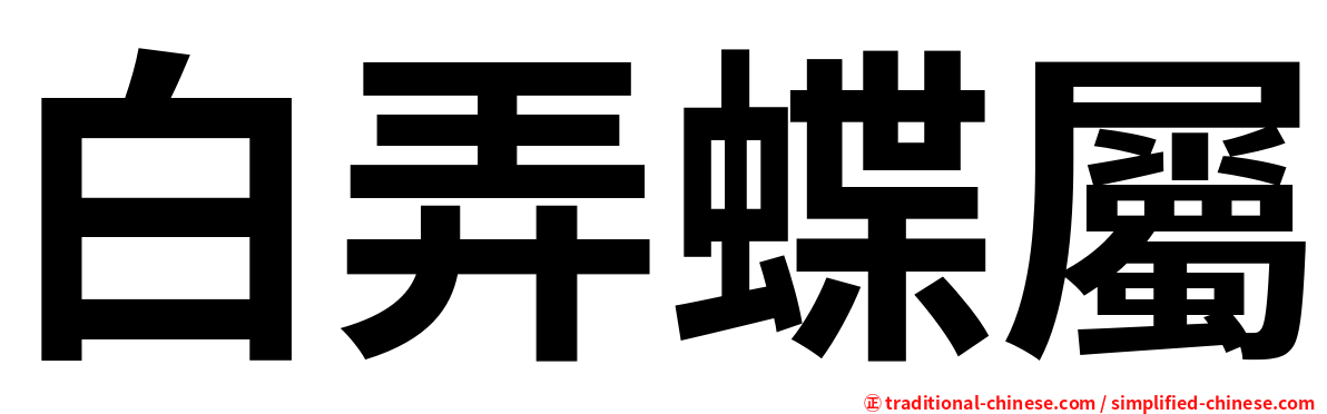 白弄蝶屬