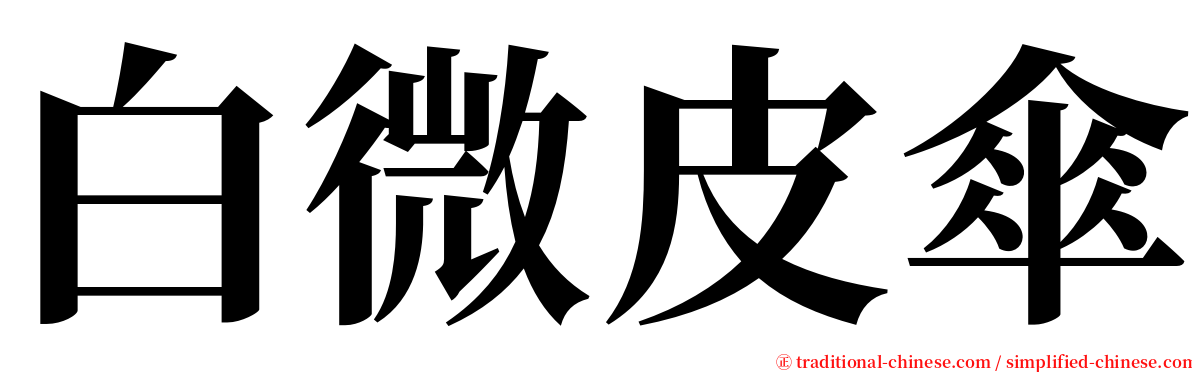 白微皮傘 serif font
