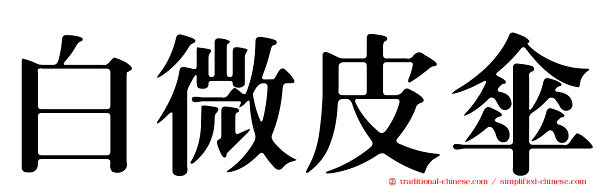 白微皮傘