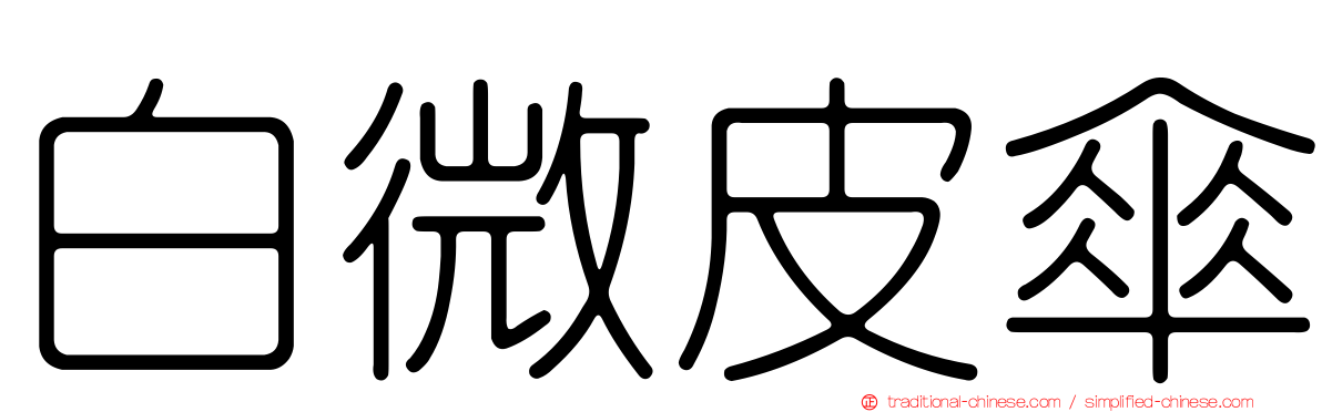 白微皮傘