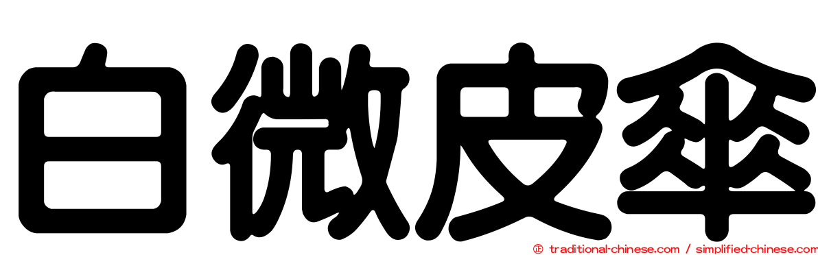 白微皮傘