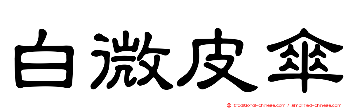 白微皮傘