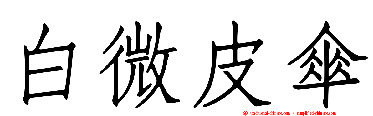 白微皮傘