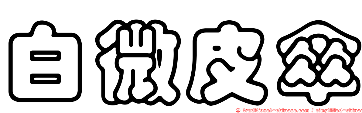 白微皮傘