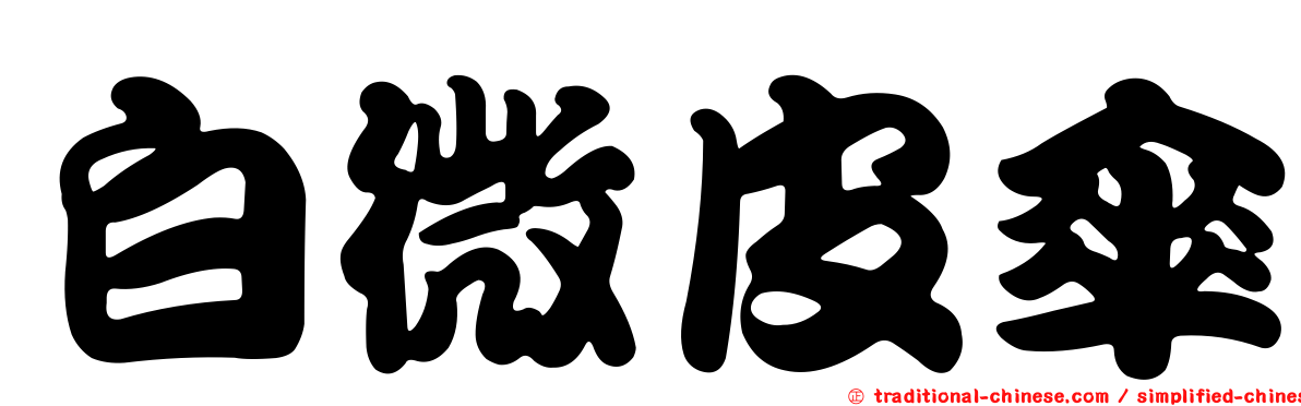 白微皮傘