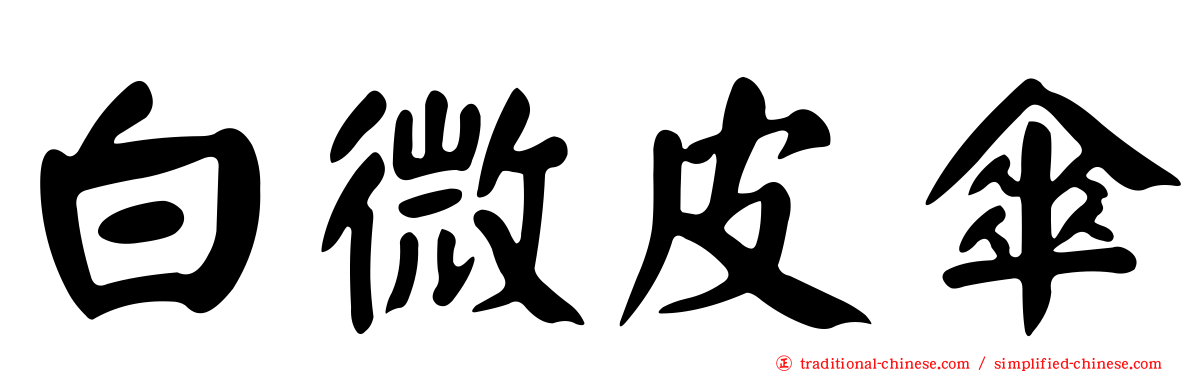 白微皮傘