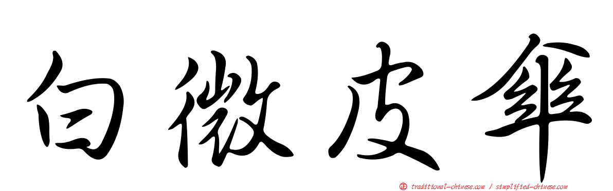 白微皮傘