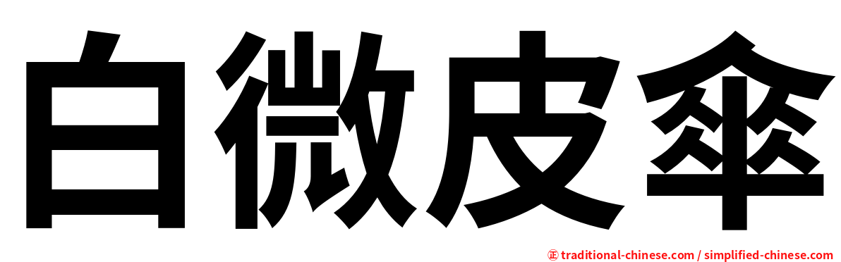 白微皮傘