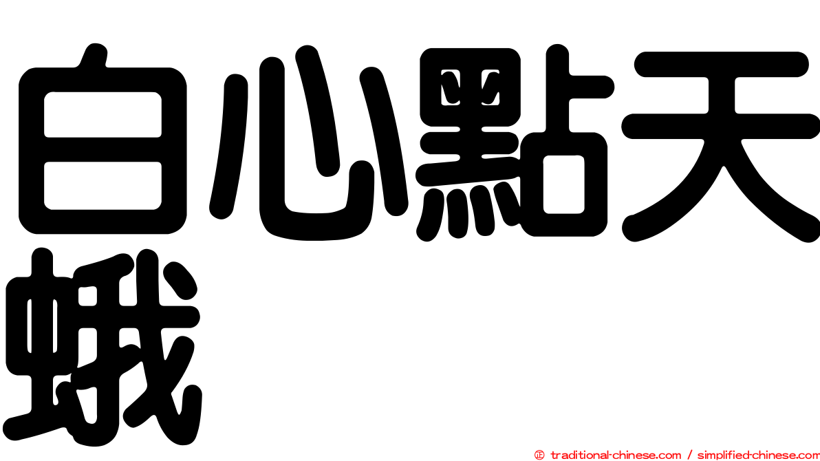白心點天蛾
