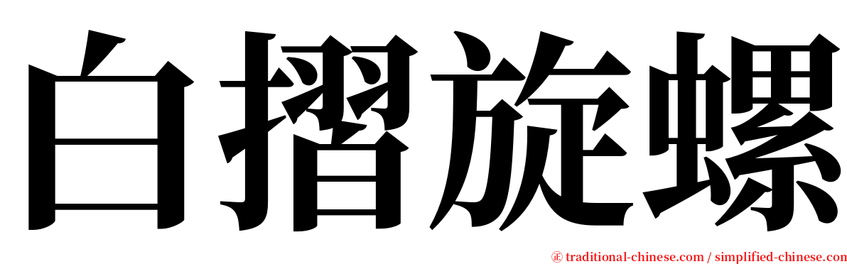白摺旋螺 serif font