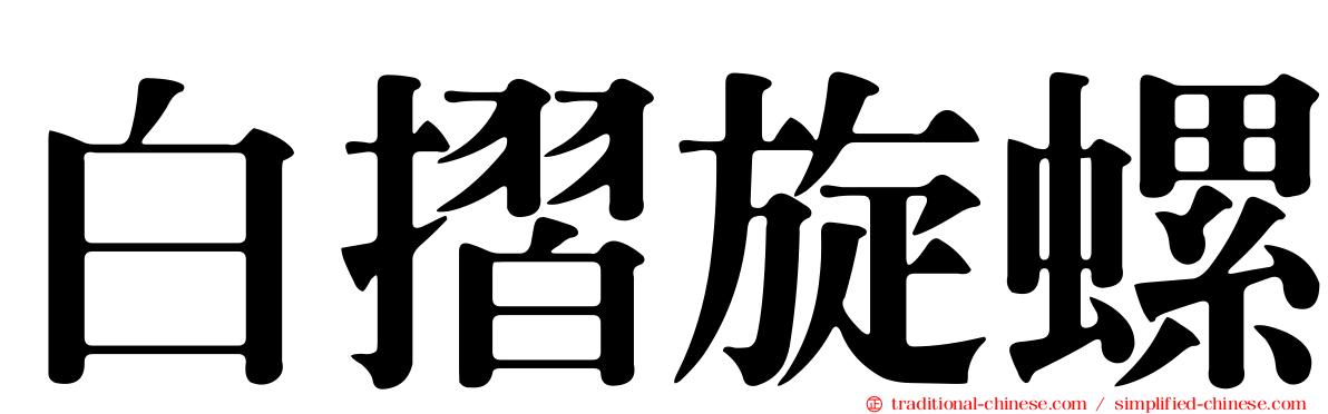 白摺旋螺