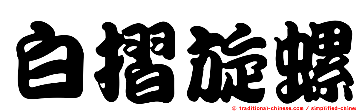 白摺旋螺
