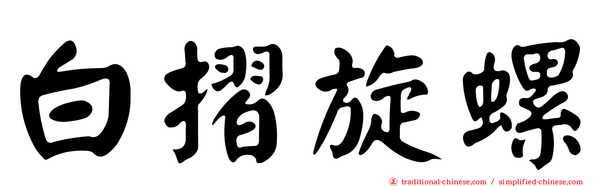 白摺旋螺