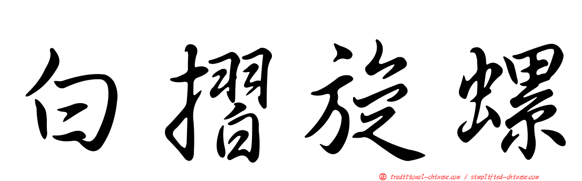 白摺旋螺