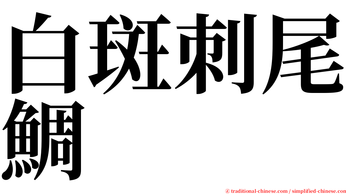 白斑刺尾鯛 serif font