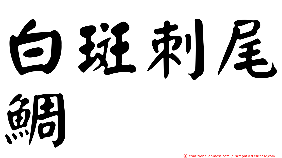 白斑刺尾鯛