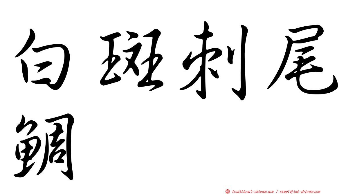 白斑刺尾鯛