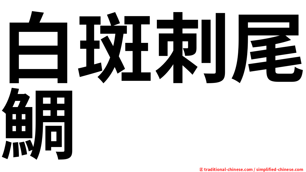 白斑刺尾鯛