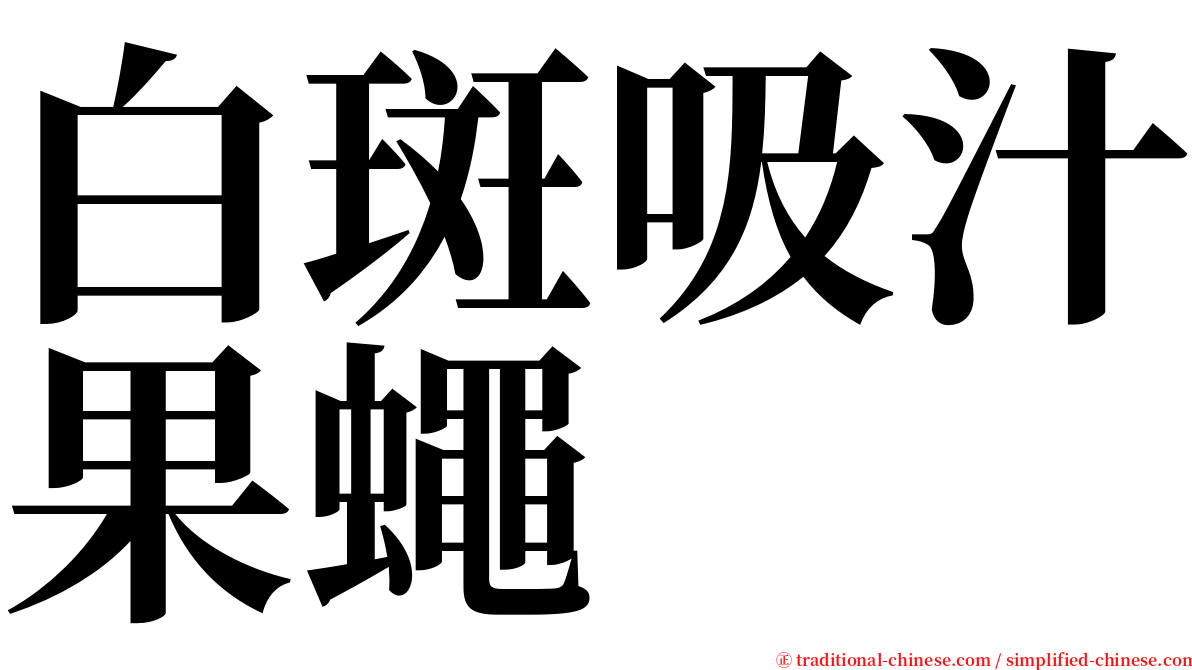 白斑吸汁果蠅 serif font
