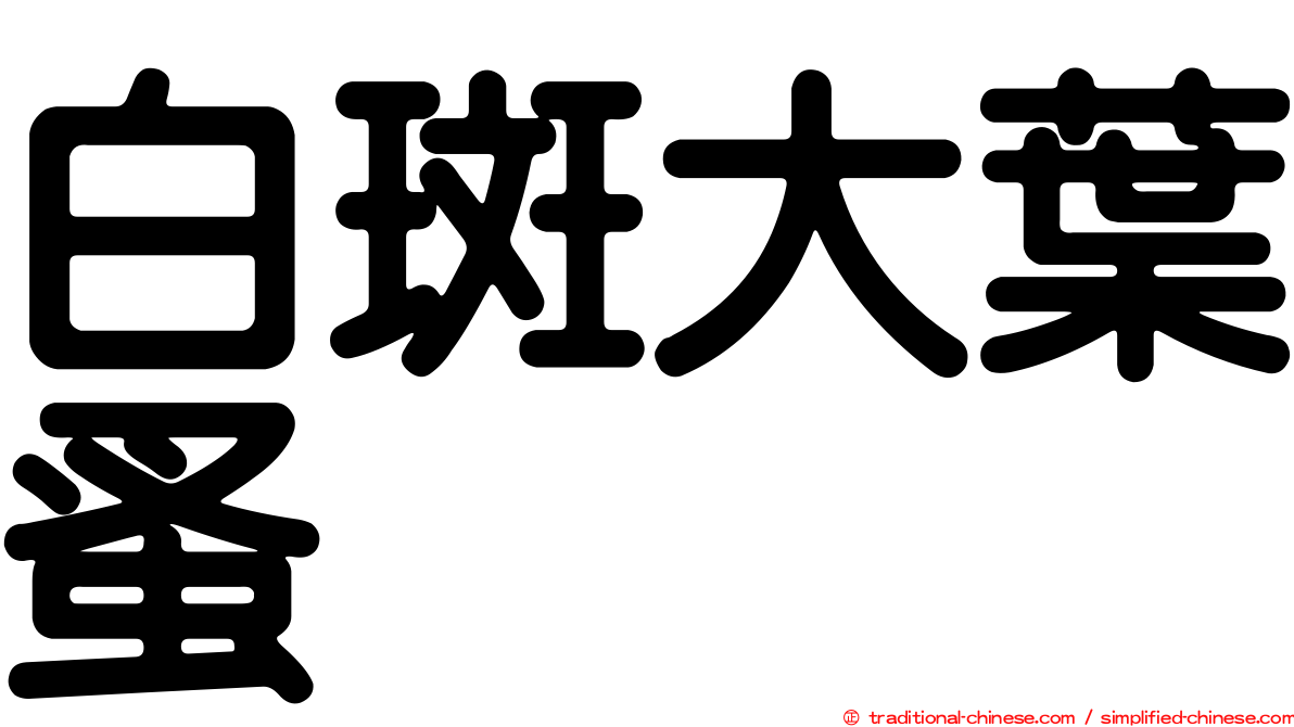 白斑大葉蚤