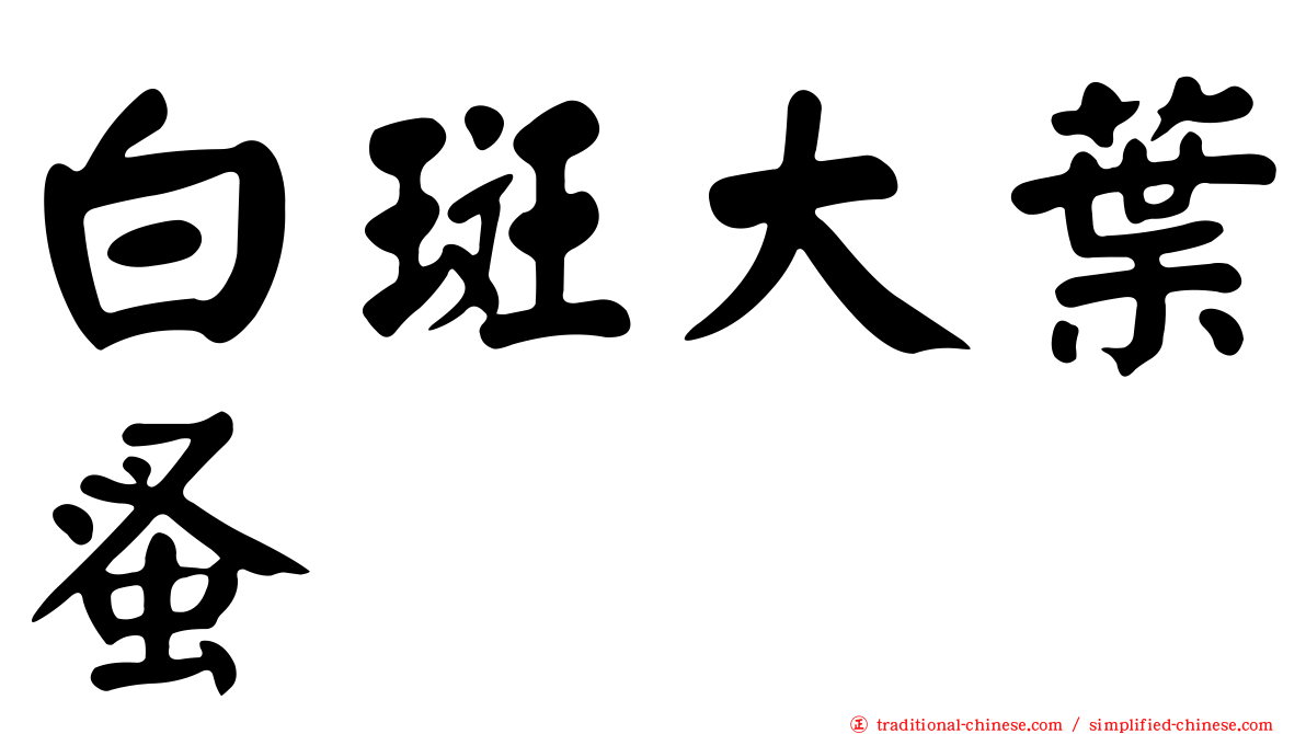 白斑大葉蚤