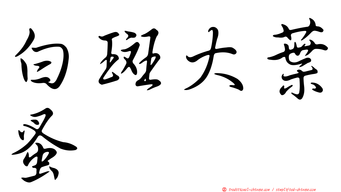 白斑大葉蚤