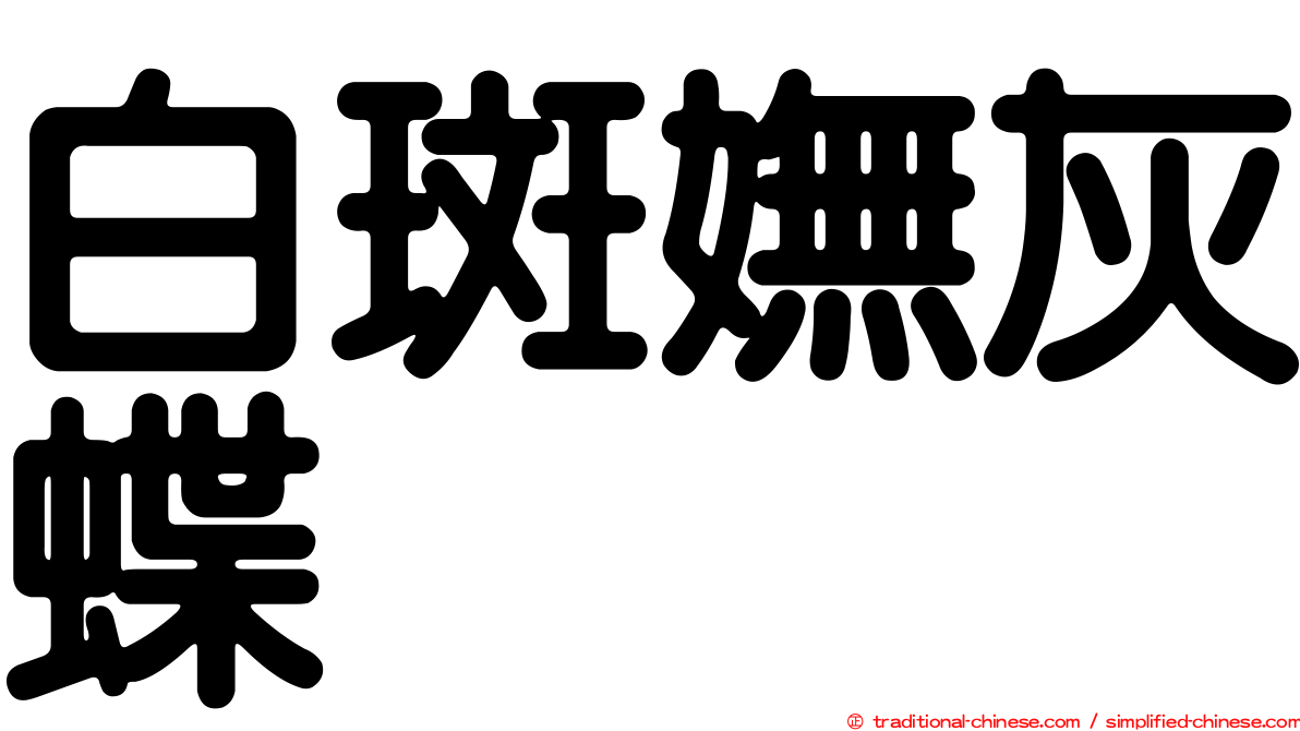 白斑嫵灰蝶