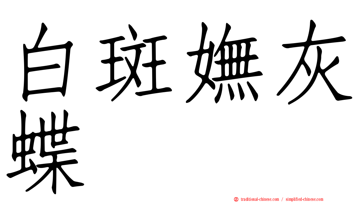白斑嫵灰蝶