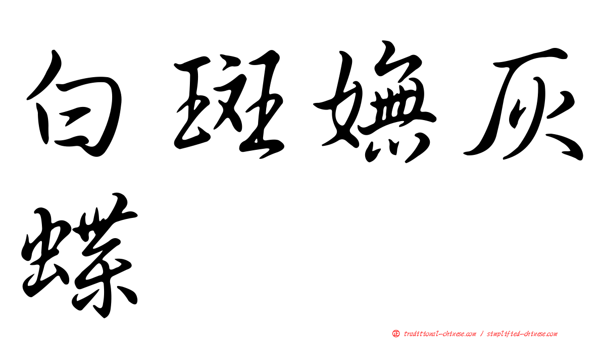 白斑嫵灰蝶