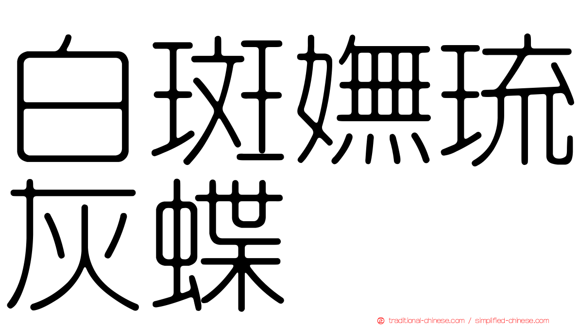 白斑嫵琉灰蝶