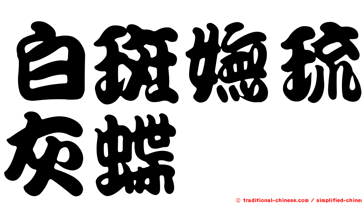 白斑嫵琉灰蝶