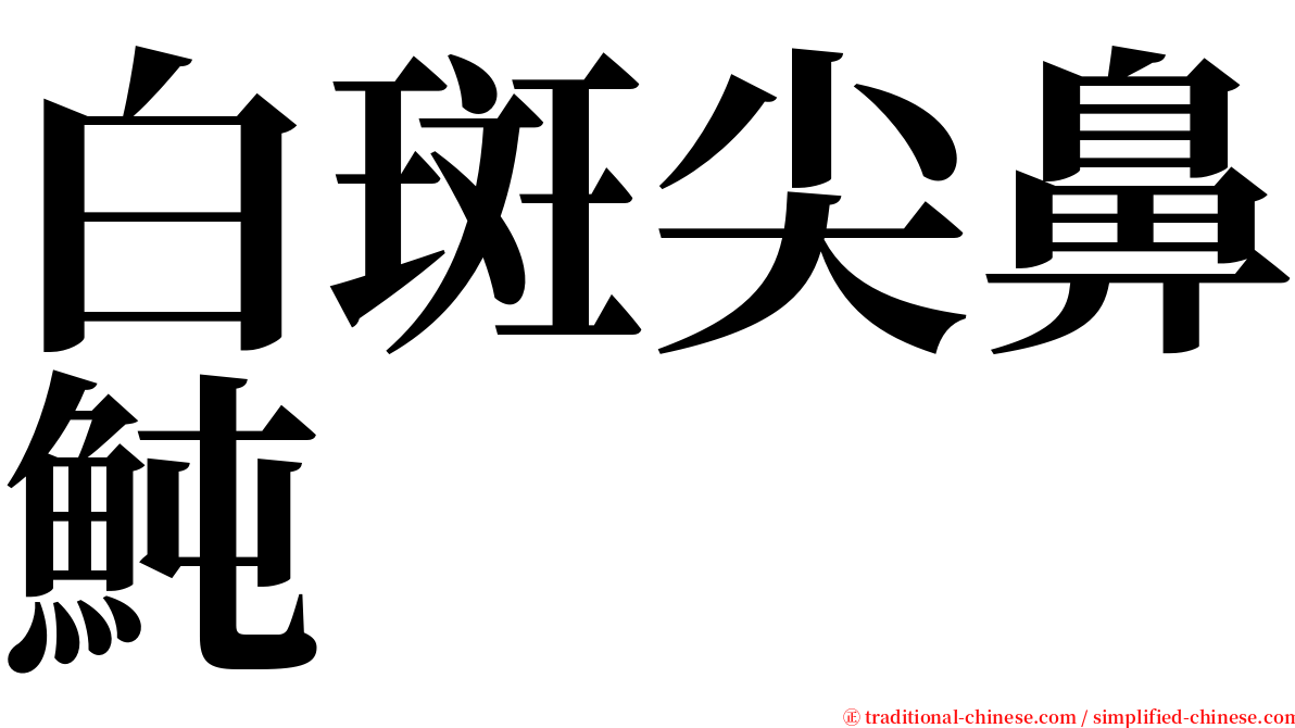 白斑尖鼻魨 serif font
