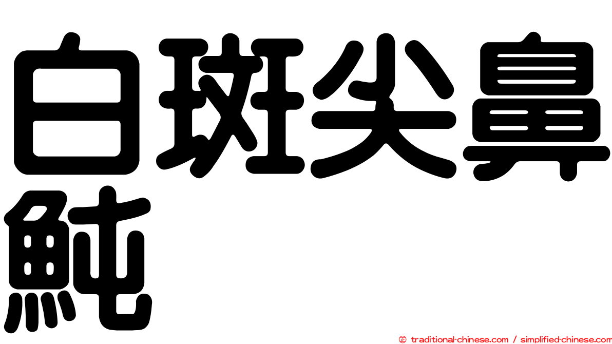 白斑尖鼻魨