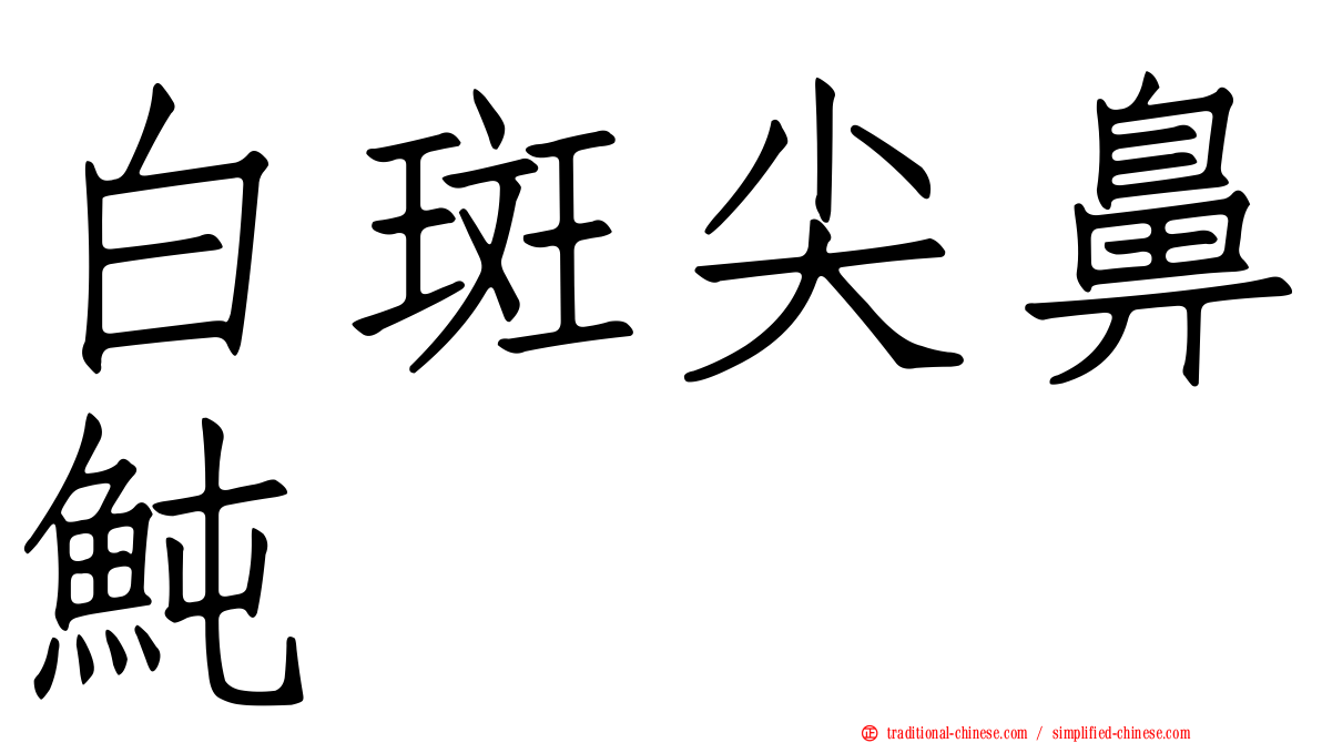 白斑尖鼻魨