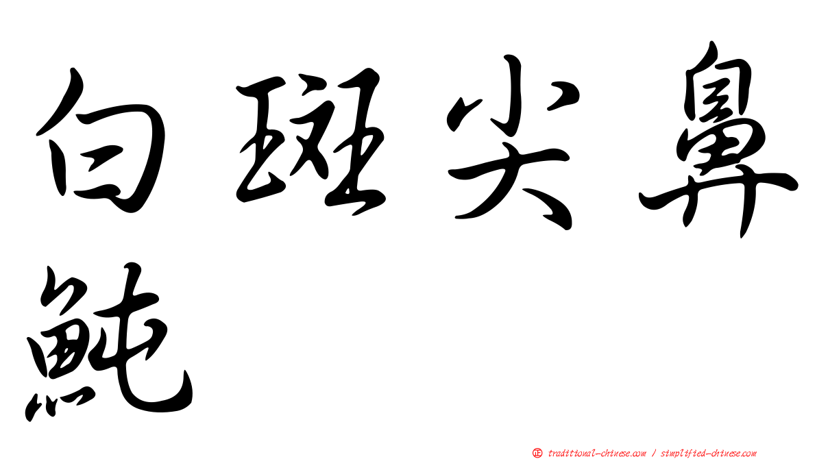 白斑尖鼻魨
