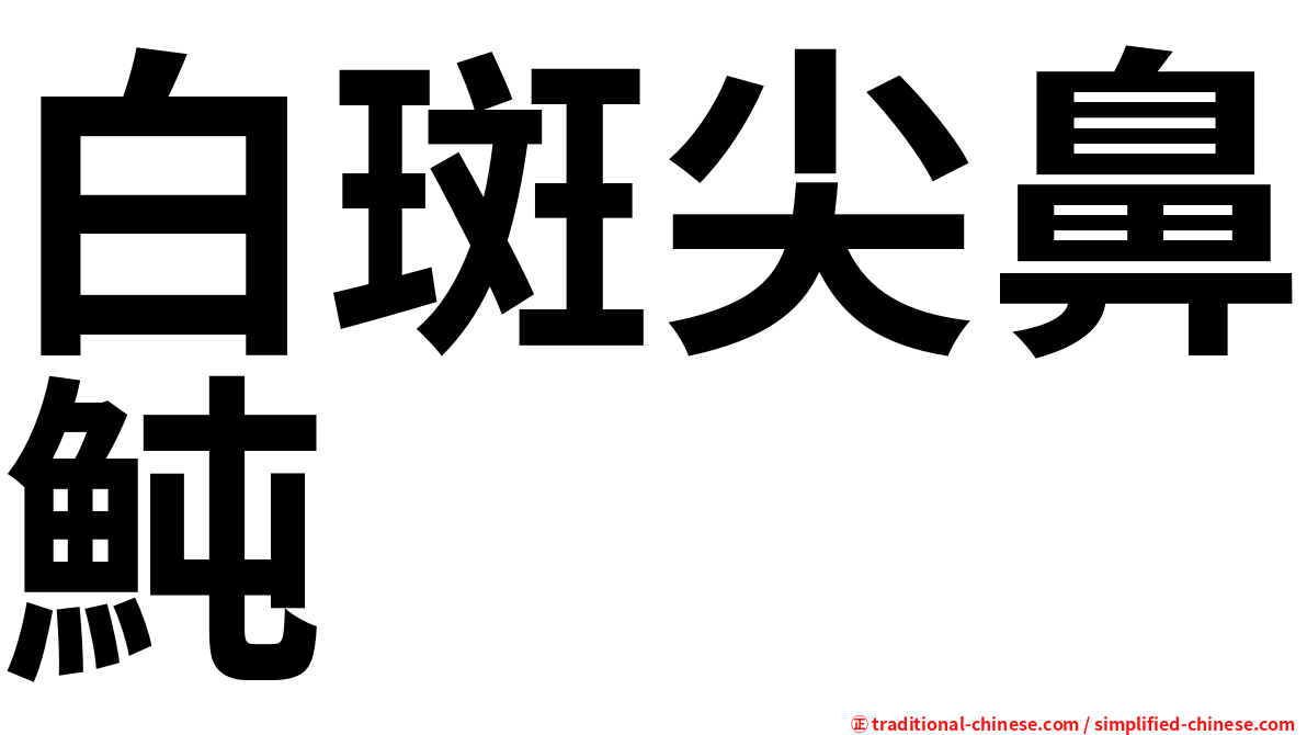 白斑尖鼻魨