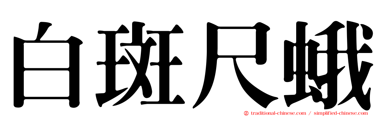 白斑尺蛾