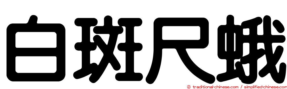 白斑尺蛾