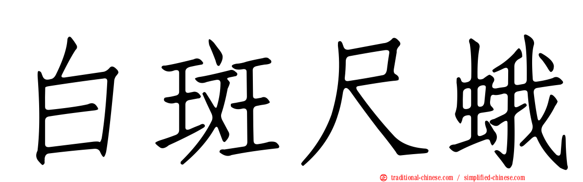 白斑尺蛾
