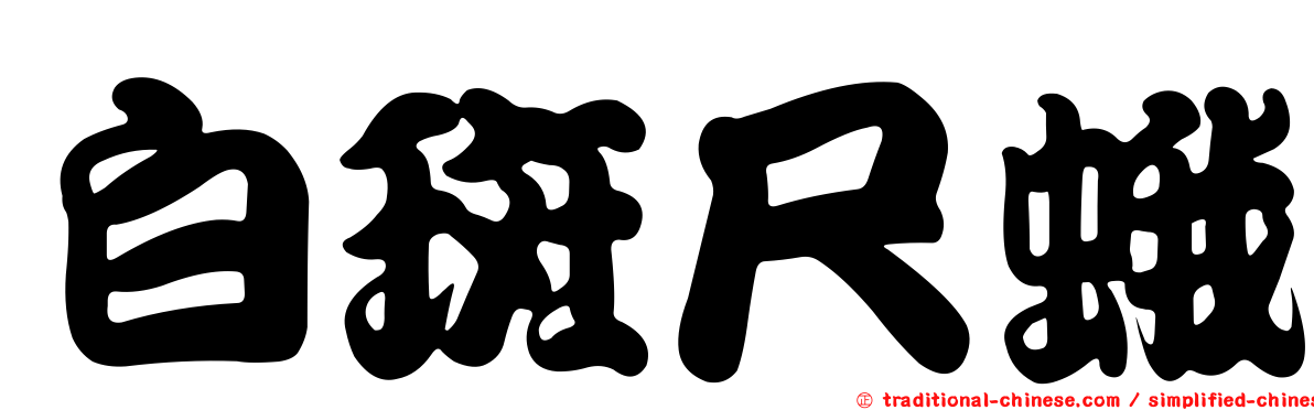 白斑尺蛾