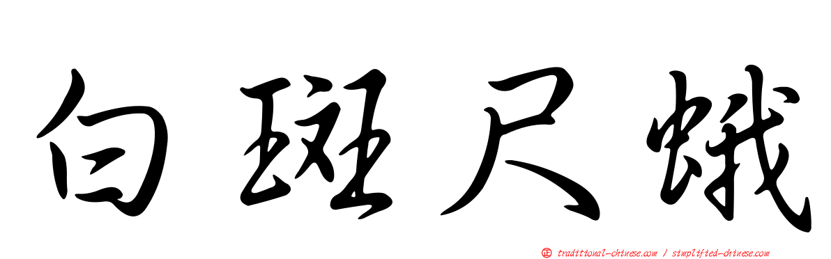 白斑尺蛾