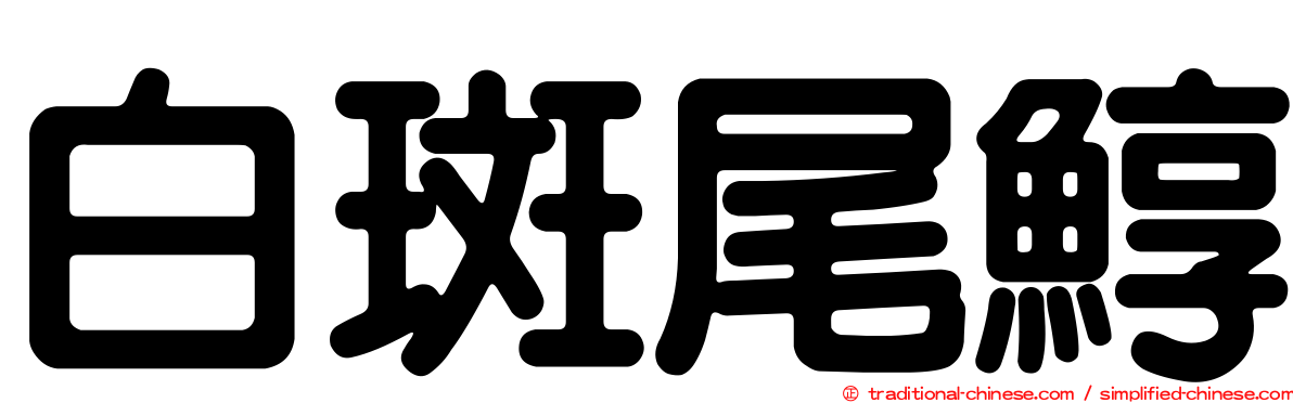 白斑尾鯙