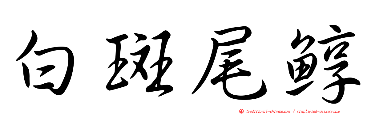 白斑尾鯙